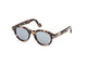 COLORED HAVANA & SMOKE 55A / 49