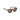 Tom Ford 0931 52H Dark Havana   Sunglasses, Size 52 – Dayal Opticals