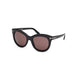 SHINY BLACK BROWN 01E / 53