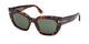 DARK TORTOISE 52N / 53