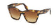 STRIPED DARK TORTOISE 55F / 55