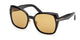 SHINY BLACK BROWN 01E / 58