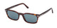 RED BROWN TORTOISE 54V / 53