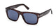 DARK TORTOISE 52V / 55
