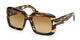 STRIPED DARK TORTOISE 01B / 53