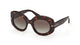 TORTOISE 52B / 51