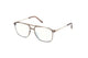 SHINY LIGHT BROWN  SHINY ROSE GOLD 045 / 54