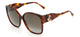 DARK HAVANA     86 / 61