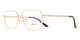 GOLD & CLEAR 1002 / 55