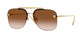 GOLD & GRADIENT BROWN 100213 / 60
