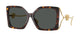 TORTOISE 108/87 / 58