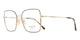 TORTOISE PALE GOLD 5078 / 53
