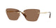 PALE GOLD & DARK BROWN 848/73 / 59