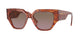 BROWN HAVANA & GRADIENT BROWN 279214 / 52