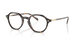 TORTOISE W656 / 49