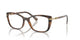 TORTOISE 2386 / 54