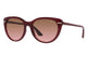 TRANSPARENT BORDEAUX / MAROON & BROWN 225714 / 56