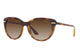 DARK HAVANA & BROWN W65613 / 56
