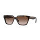 DARK HAVANA & BROWN GRADIENT W65613 / 55