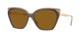 BROWN NUDE & DARK BROWN 310183 / 57