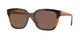 TORTOISE & TRANSPARENT BROWN GLITTER  DARK BROWN 313473 / 55