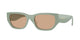 LIGHT GREEN & DARK BROWN 3161/3 / 53