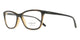 TORTOISE 2718 / 54