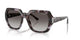 VIOLET TORTOISE 31788G / 55