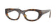 TORTOISE 2718 / 49