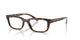 TORTOISE 2718 / 51