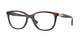TORTOISE 2386 / 51