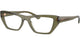 OLIVE GREEN 3289 / 53