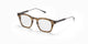 GREEN TORTOISE SWIRL     AKX418-C / 48