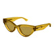 BROWN & YELLOW   003 / 53