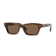BROWN   398673 / 53