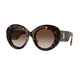 DARK HAVANA   300213 / 49
