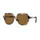 SPOTTED HORN   350173 / 55