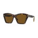 DARK HAVANA & BROWN    300283 / 54