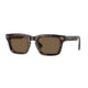 DARK HAVANA & BROWN     300273 / 51