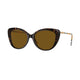 DARK HAVANA & POLAR BROWN  385483 / 54