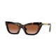 DARK HAVANA & BROWN  300213 / 51