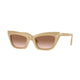 BEIGE & BROWN  409213 / 51