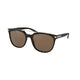 DARK TORTOISE    504/73 / .
