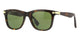 SHINY DARK TORTOISE 002 / 53