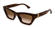 HAVANA BROWN 002 / 53