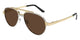 GOLD & BROWN 008 / 59