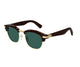 HAVANA BROWN & GREEN 002 / 52