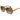 Cartier 0507S brown & grey 004 sunglasses,  size 54  - Dayal Opticals India     
