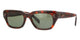 DARK  HAVANA  54N / 54