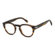 BROWN HORN  TRANSPARENT   EX4 / 48